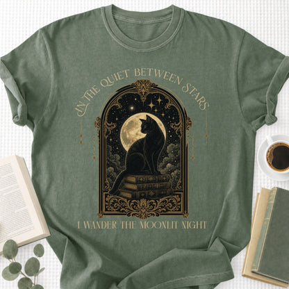 In The Quiet Between Stars Unisex T-Shirt